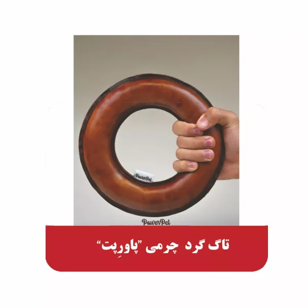 تاک گرد چرمی پاورپت