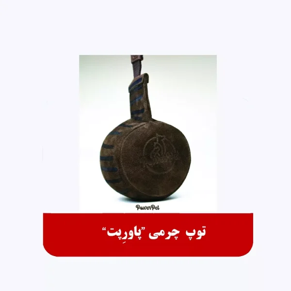 توپ چرمی پاور پت