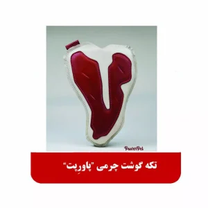 تکه گوشت چرمی پاورپت