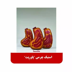 استیک چرمی پاورپت