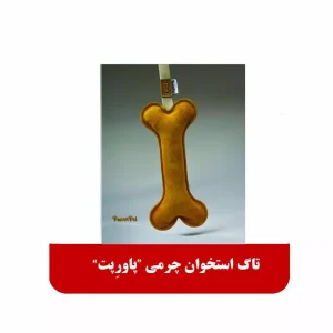 تاگ استخوان چرمی پاورپت