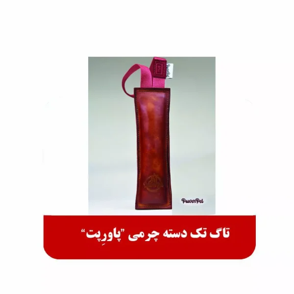 تاگ تک دسته چرمی پاورپت