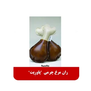 ران مرغ چرمی پاورپت