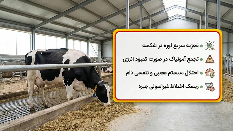 خطرات و عوارض مصرف نادرست اوره